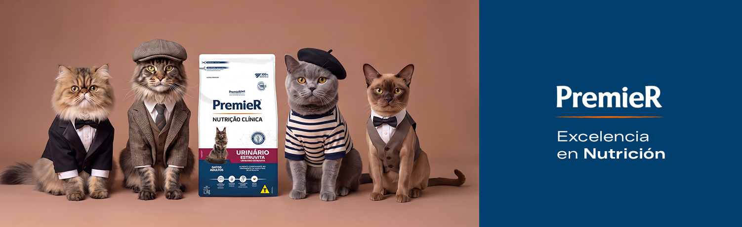 15. Banners internos por Marca Premier Gatos DK
