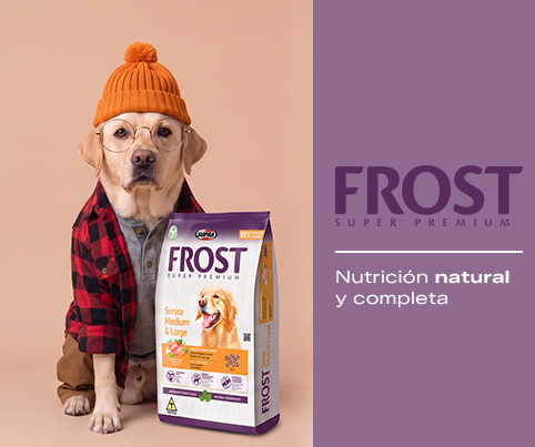 4. Banners internos por Marca Frost Perro Mobile
