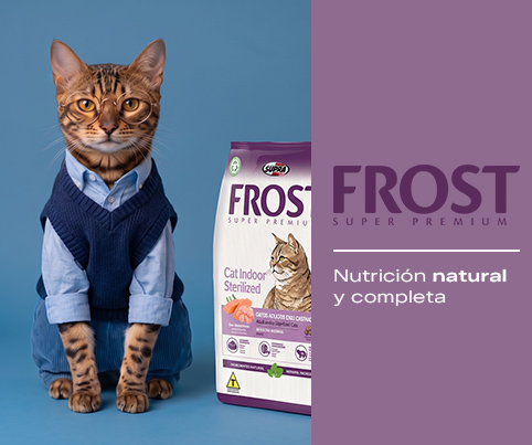 5. Banners internos por Marca Frost Gato Mobile