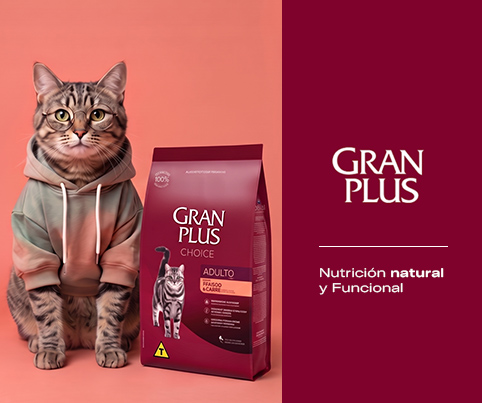 7. Banners internos por Marca Gran Plus Mobile