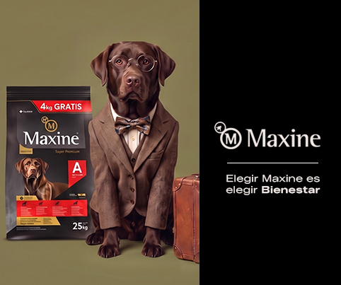 9. Banners internos por Marca Maxine Mobile