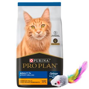 Pro Plan Gato Senior 7+ 1 Kg