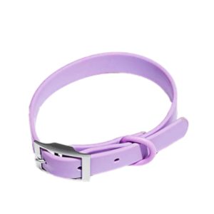 Collar Mascotas De Goma Talle XS Pepito
